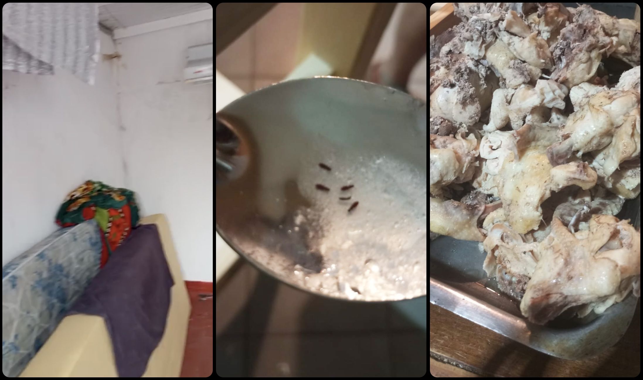 阿根廷足球青训黑幕：梦想工厂背后的残酷体系
